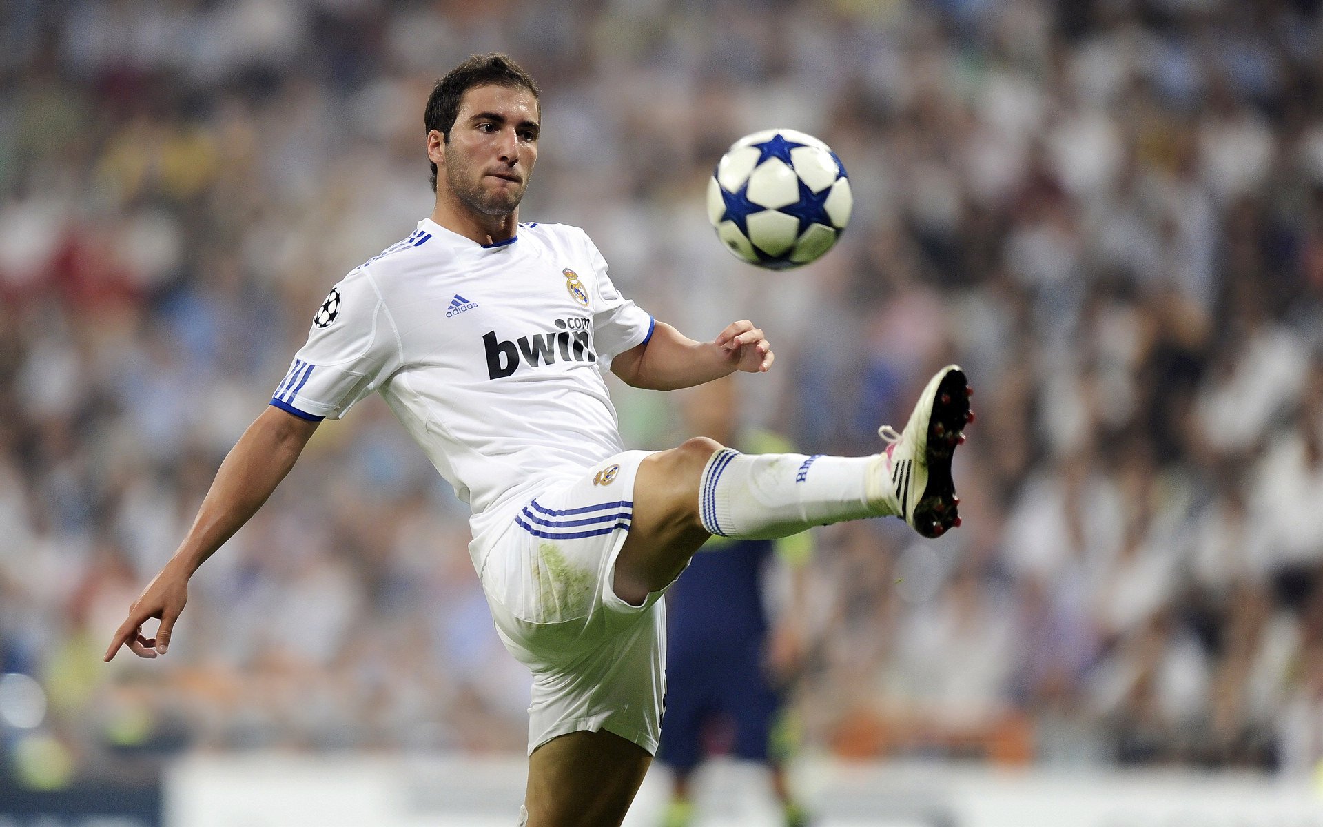 开云体育官网-国足体能教练谈备战计划及恢复训练，国家足球队体能教练